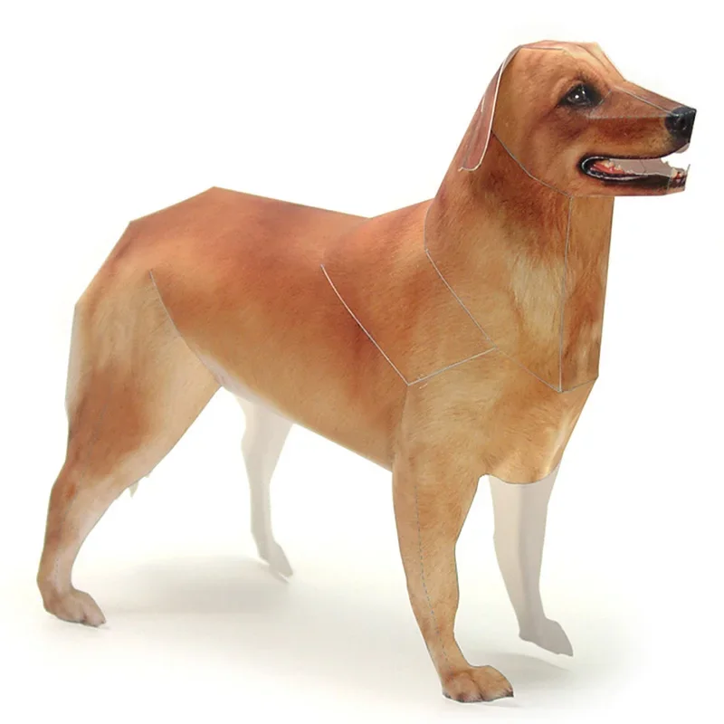 Art Craft With Cardboard - Golden Retriever chien papier modèle réaliste