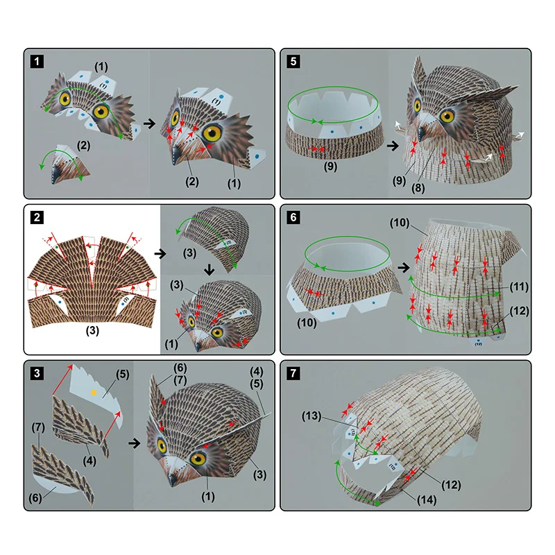 Blakiston's Fish Theatre l Fai - Art Craft With Cardboard avis et prix