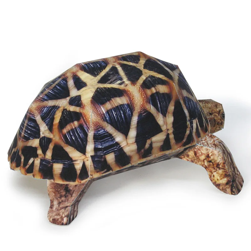 Modèle de tortue étoile indien - Art Craft With Cardboard avis et prix