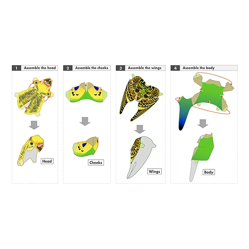 Perruque perroquet oiseau fait - Art Craft With Cardboard avis et prix