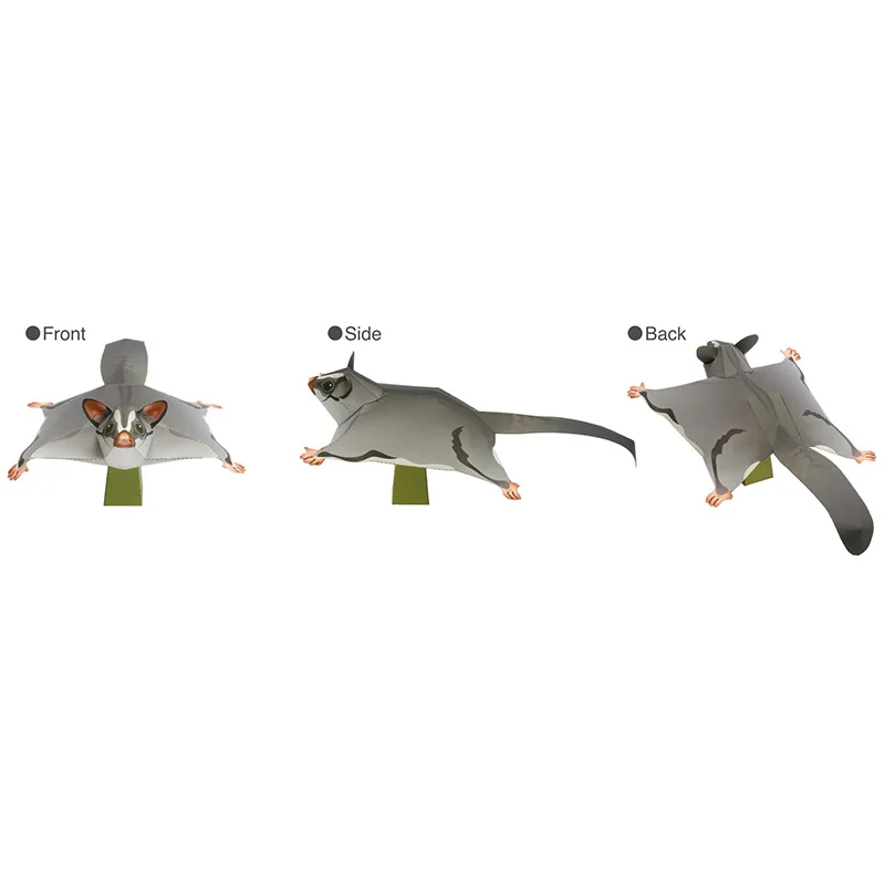Sucre fœtal der souris volante - Art Craft With Cardboard avis et prix