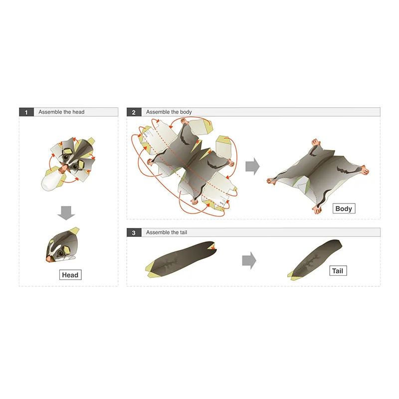 Sucre fœtal der souris volante - Art Craft With Cardboard avis et prix