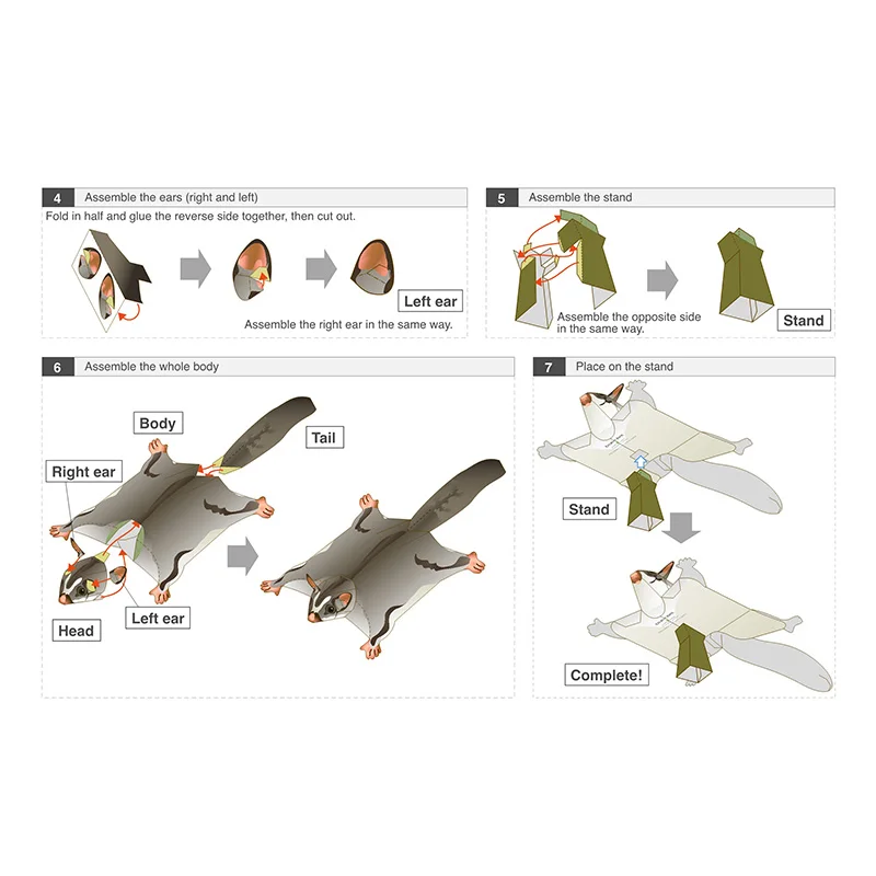 Sucre fœtal der souris volante - Art Craft With Cardboard avis et prix